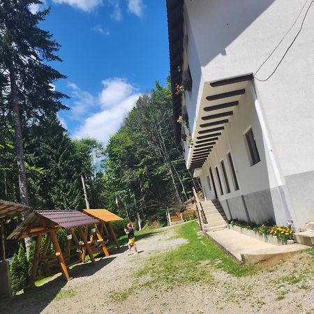 Cabana Valea Bradului Nucşoara Eksteriør bilde
