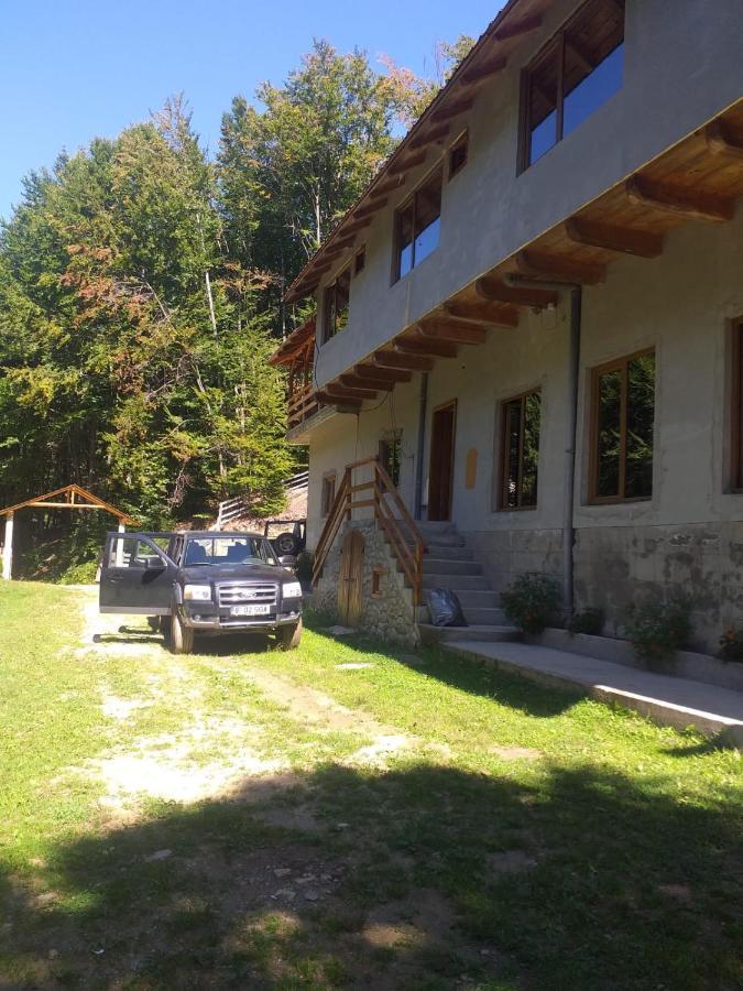Cabana Valea Bradului Nucşoara Eksteriør bilde