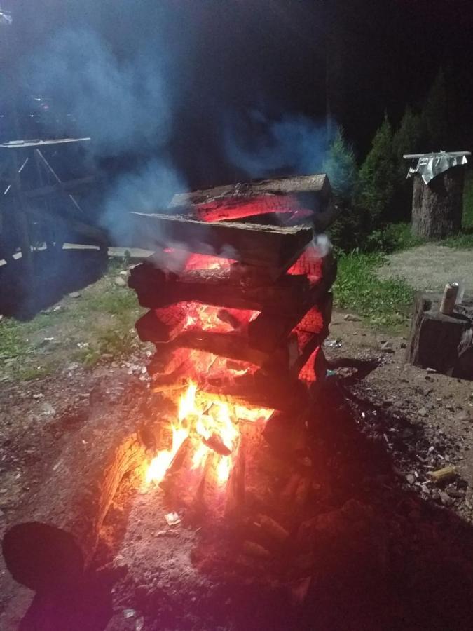 Cabana Valea Bradului Nucşoara Eksteriør bilde